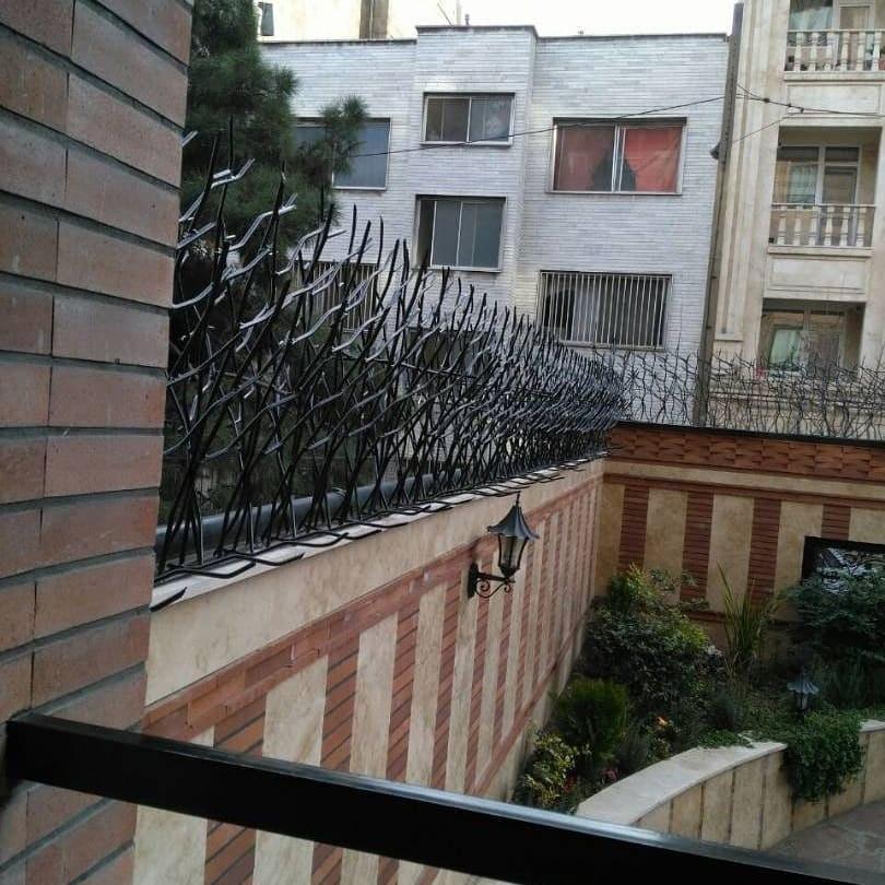 حفاظ شاخ گوزنی همراه با نصب در پرند حفاظ شاخ گوزنی همراه با نصب در پرند