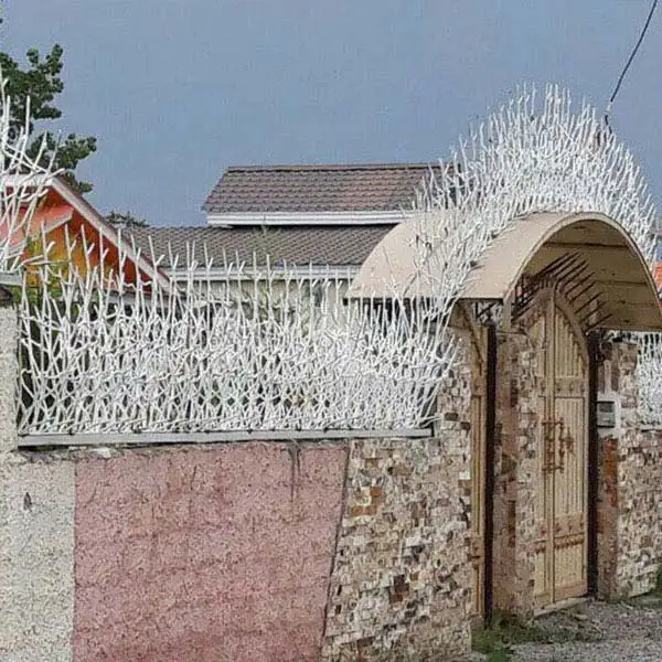 مزایای انتخاب حفاظ شاخ گوزنی