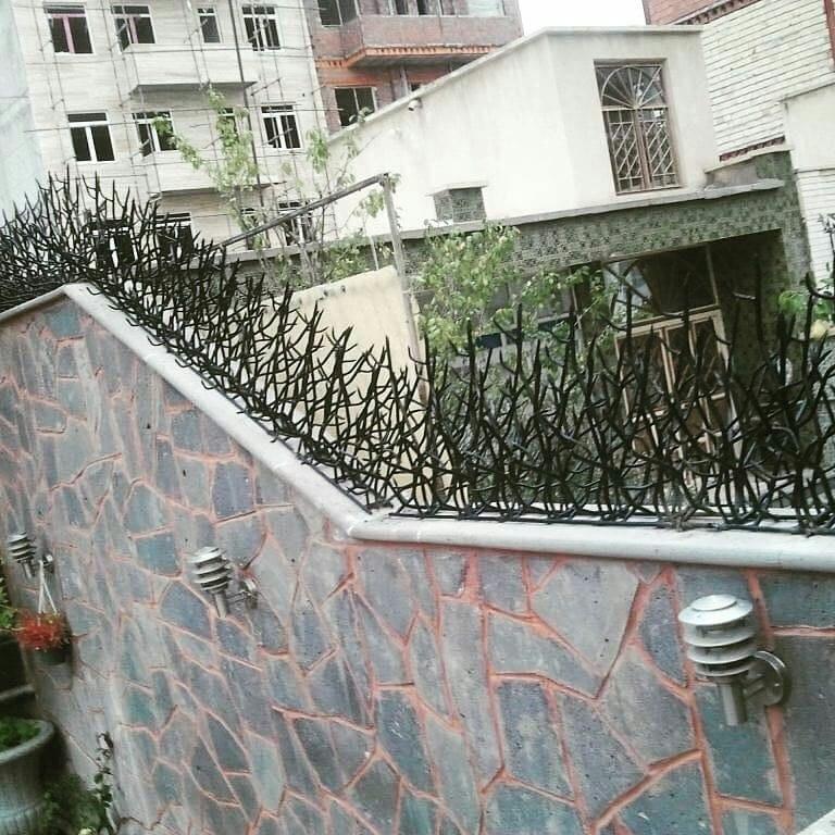 خرید حفاظ شاخ گوزنی در اینترنت