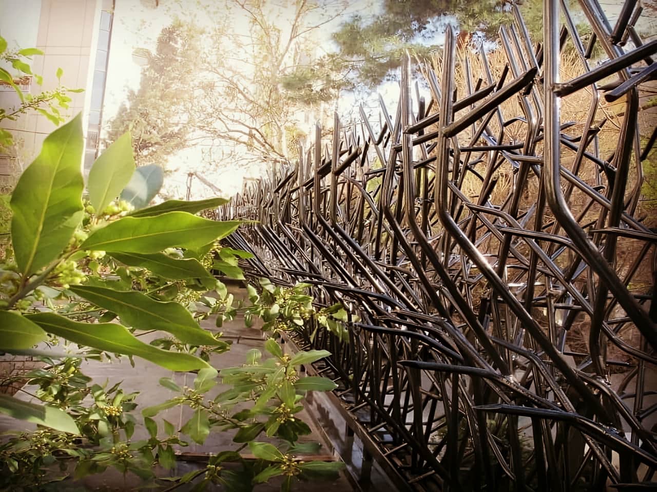 حفاظ دیوار لوکس و شیک