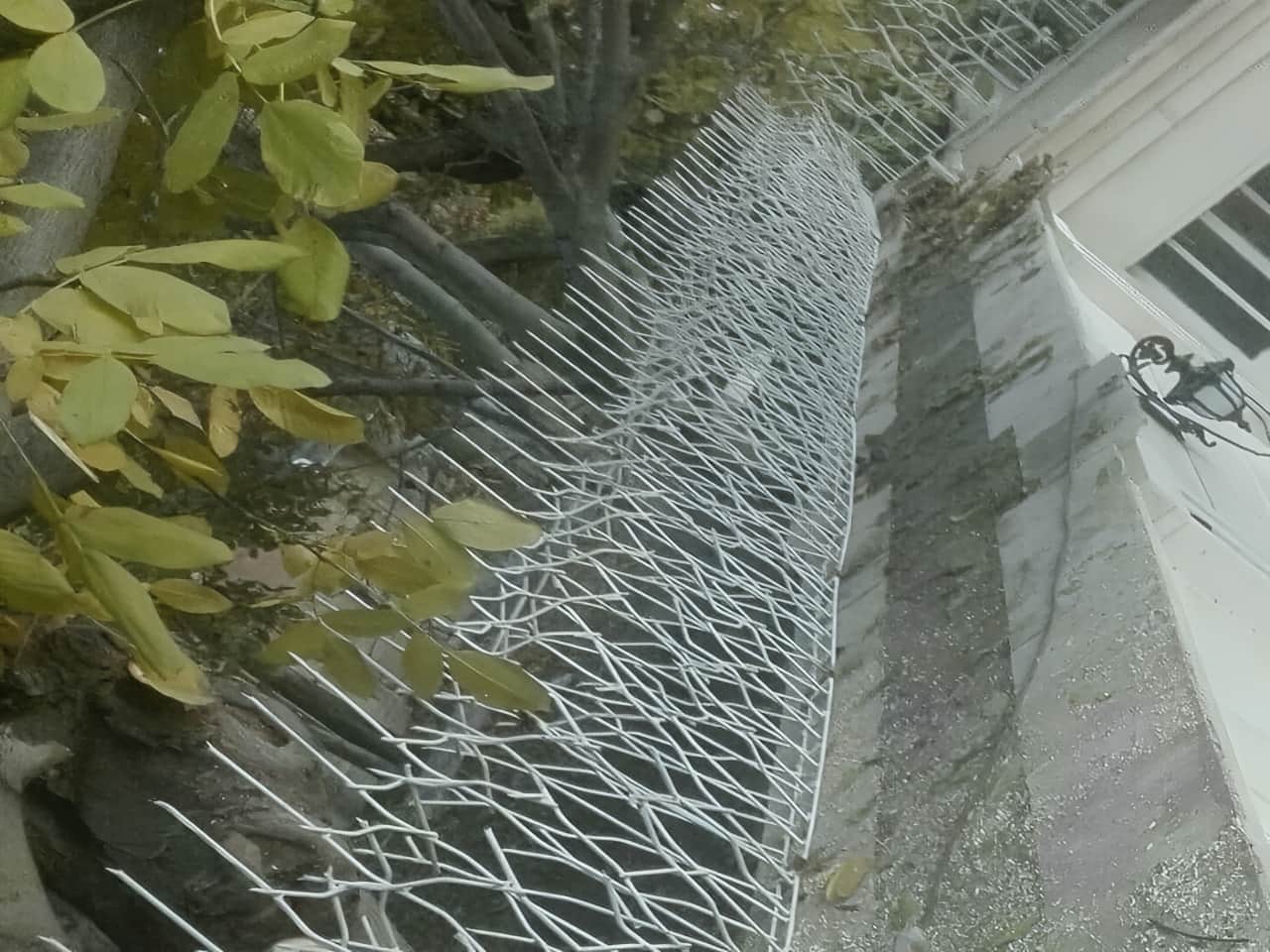 خرید حفاظ شاخ گوزنی همراه با نصب در خرم آباد