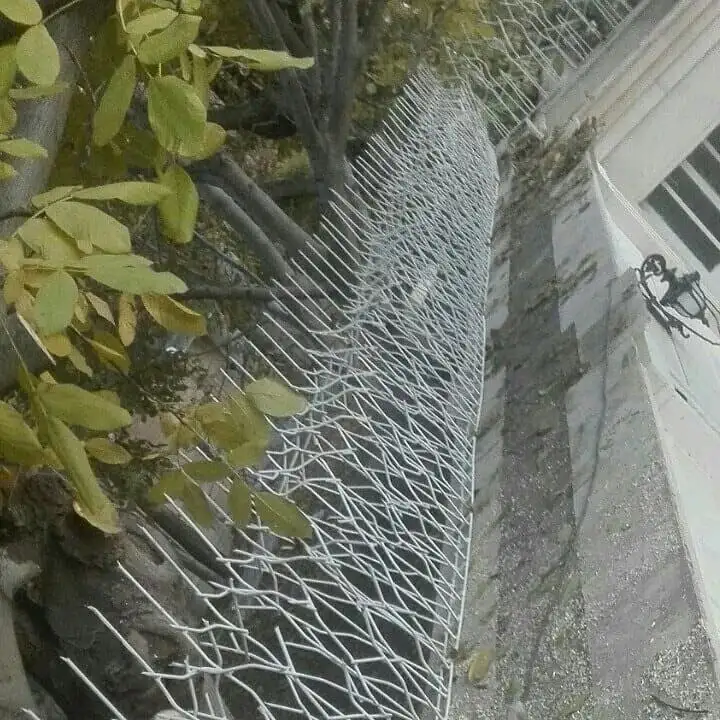 خصوصیات حفاظ شاخ گوزنی