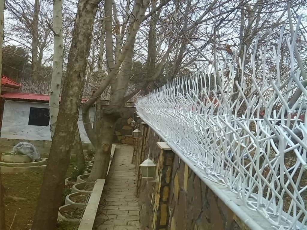تأثیر وزن بر قیمت حفاظ شاخ گوزنی