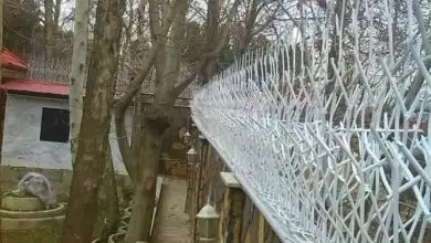 تأثیر وزن بر قیمت حفاظ شاخ گوزنی