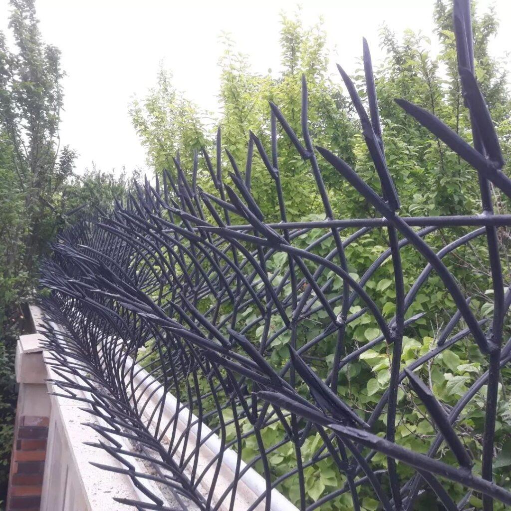 خرید حفاظ شاخ گوزنی همراه با نصب در شیراز