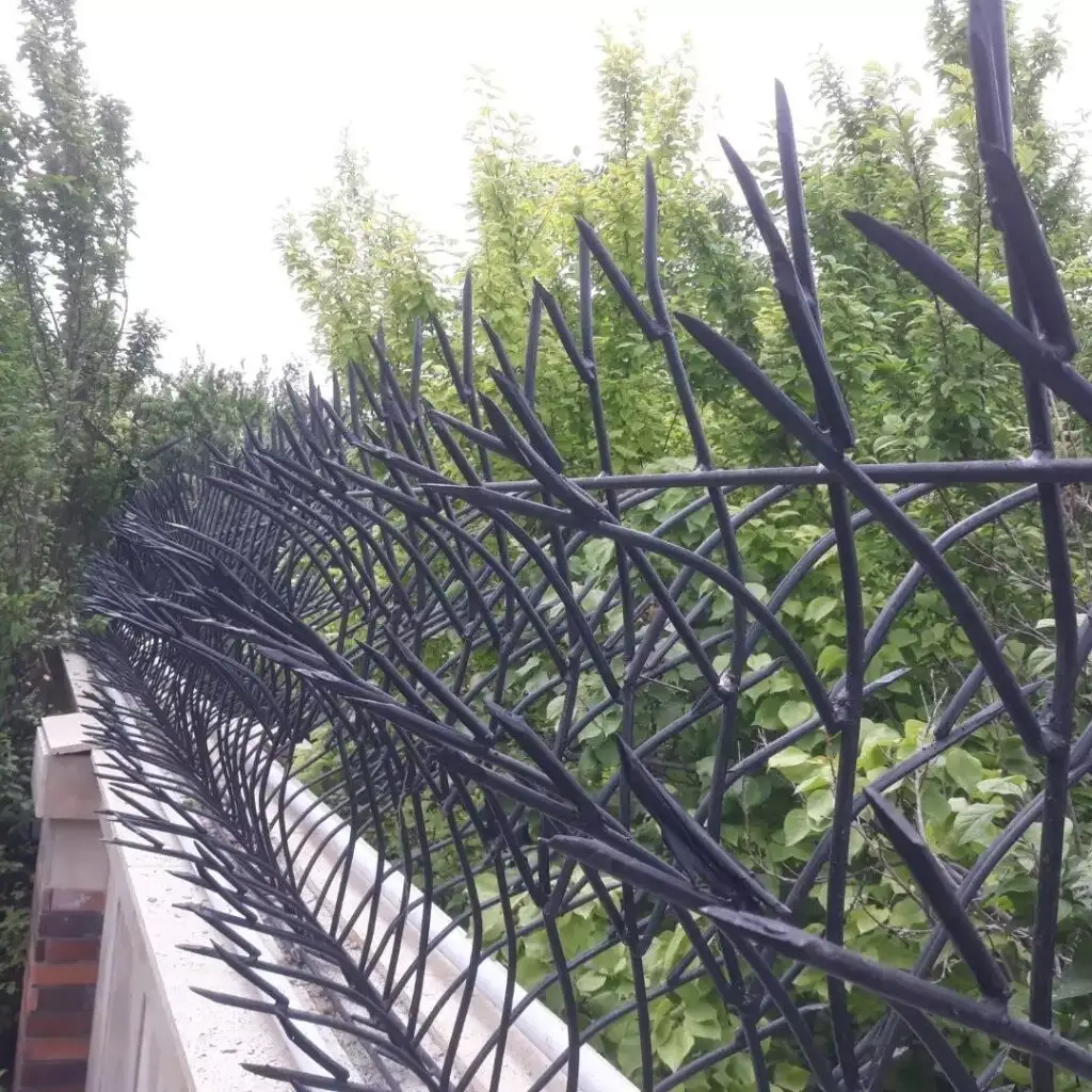 خرید حفاظ شاخ گوزنی