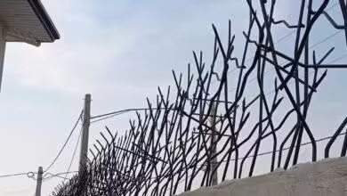خرید حفاظ شاخ گوزنی همراه با نصب در شهر کرمان