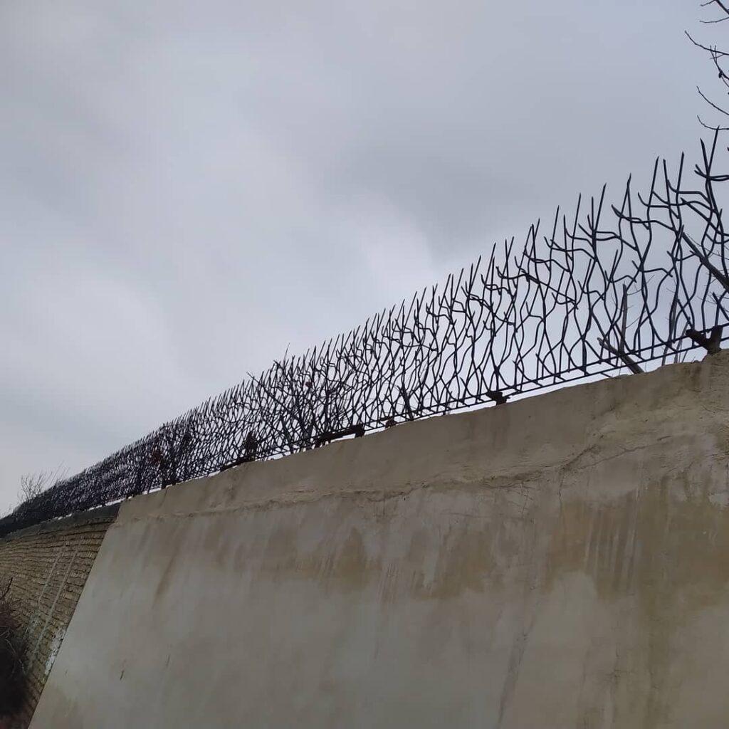 مزایای حفاظ شاخ گوزنی بر سایر حفاظ ها