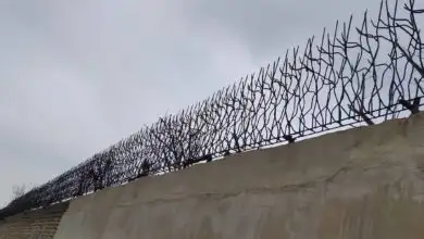 مزایای حفاظ شاخ گوزنی بر سایر حفاظ ها