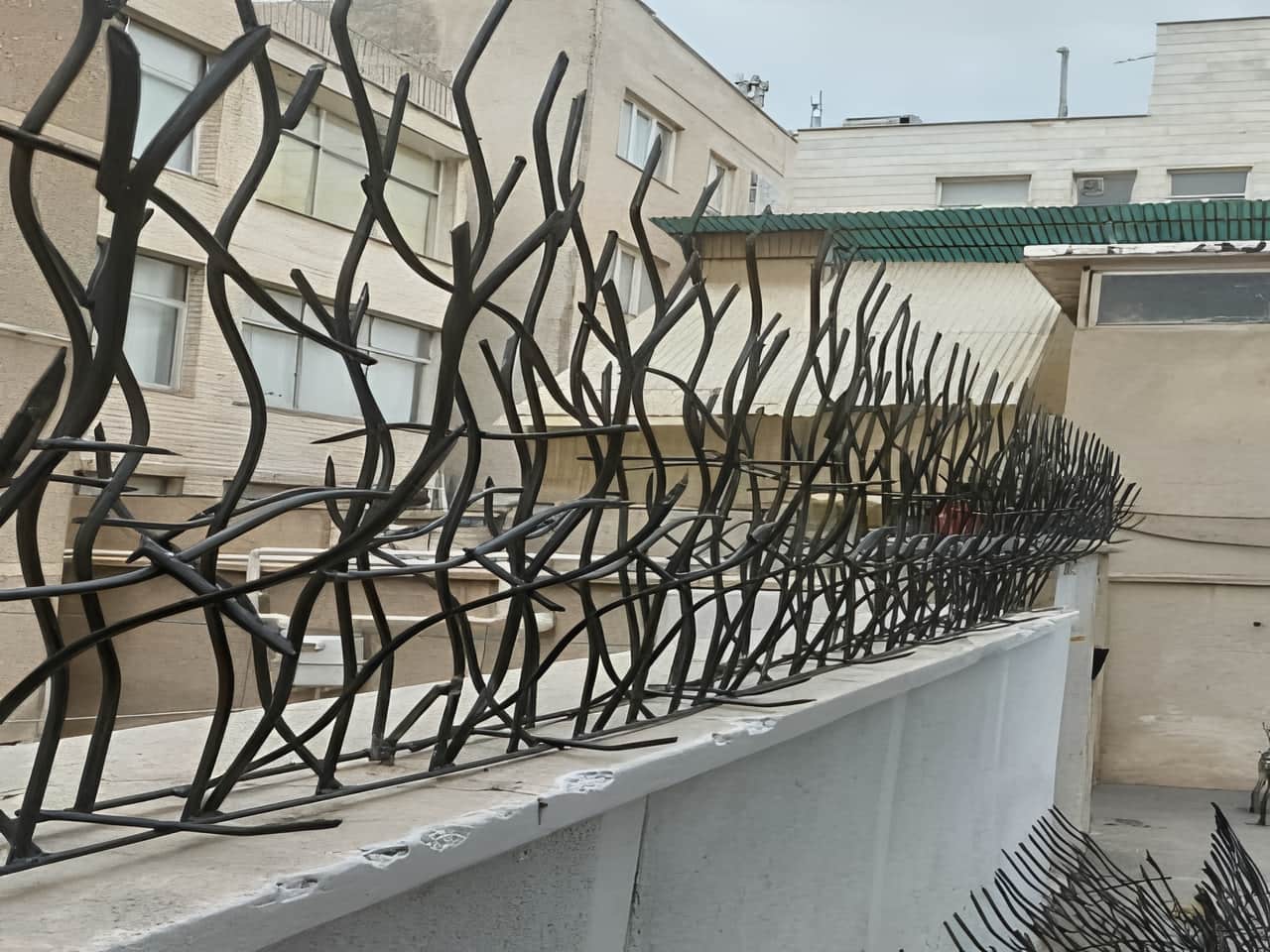 عوامل موثر بر قیمت حفاظ شاخ گوزنی | مجله حفاظ ایران عوامل موثر بر قیمت حفاظ شاخ گوزنی