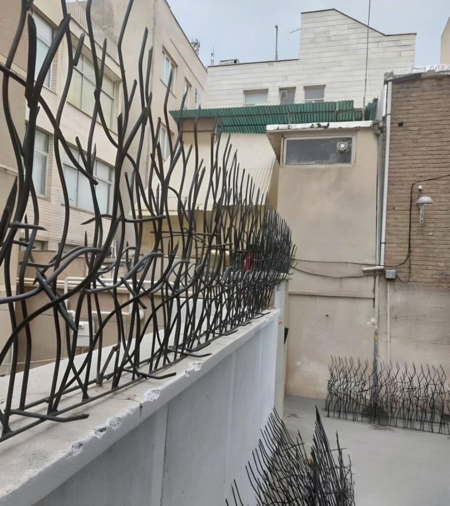 حفاظ شاخ گوزنی با تنوع در ابعاد و رنگ‌ها