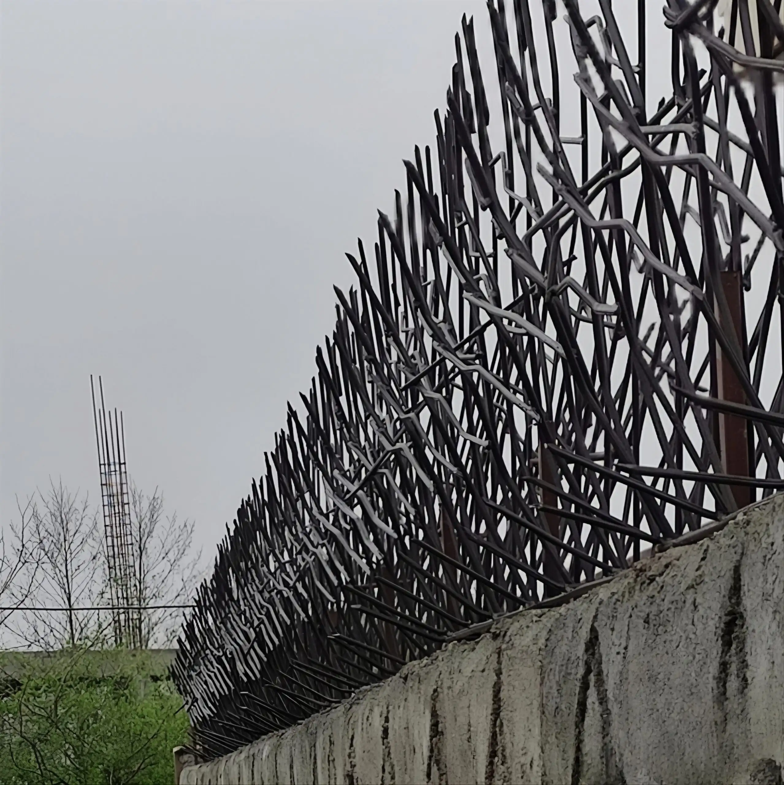 ویژگی برتر حفاظ شاخ گوزنی