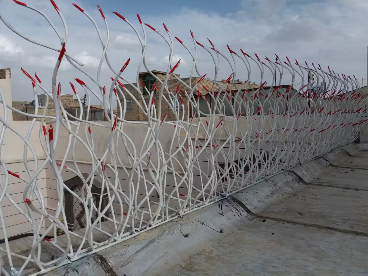 حفاظ شاخ گوزنی چیست ؟