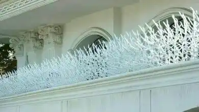 نصب حفاظ شاخ گوزنی