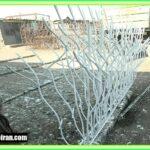 قیمت حفاظ شاخ گوزنی چقدر است؟