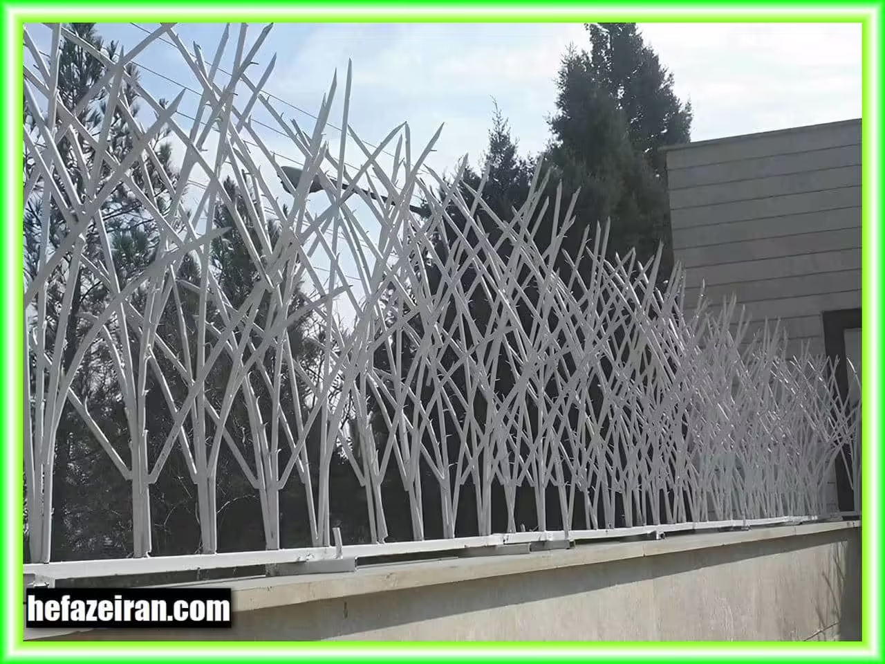 حفاظ شاخ گوزنی خاردار