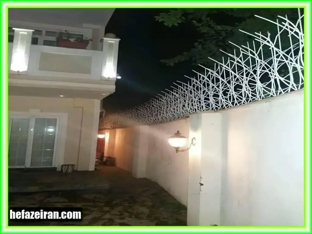 بررسی حفاظ شاخ گوزنی دیوار