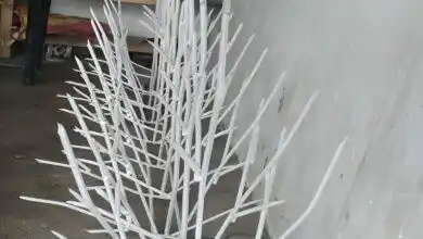 حفاظ شاخ گوزنی چیست؟