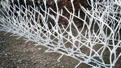 بهترین حفاظ شاخ گوزنی کدام است؟