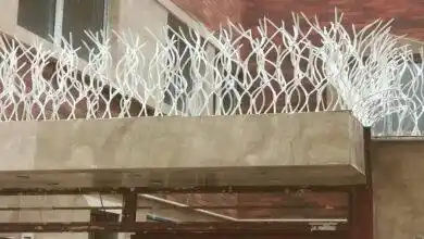 انواع مدل و تراکم حفاظ شاخ گوزنی