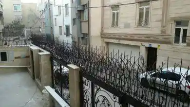 عکس حفاظ شاخ گوزنی