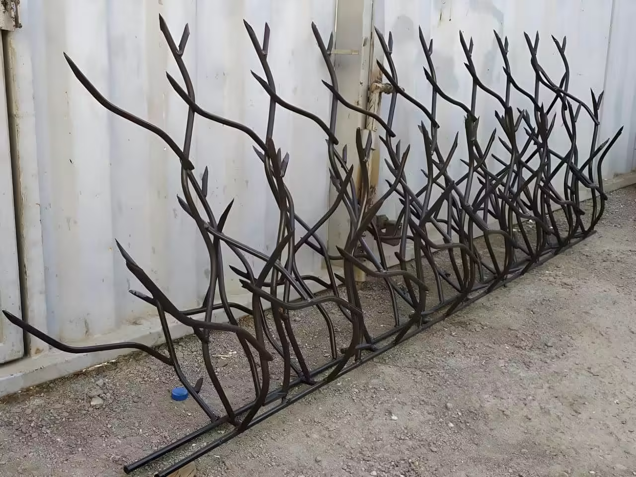 قیمت حفاظ شاخ گوزنی