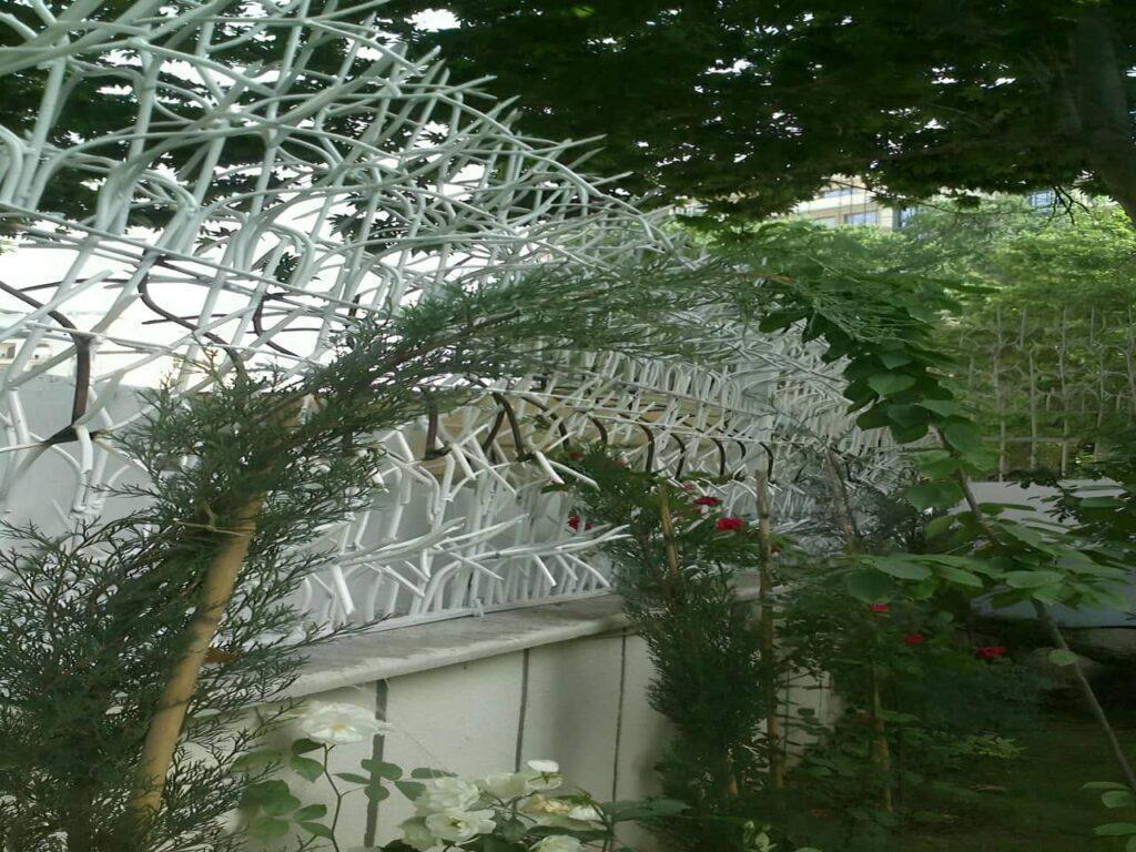راه شناخت حفاظ شاخ گوزنی با کیفیت