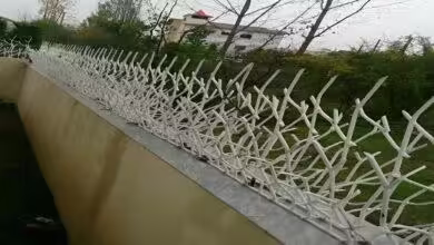 فروشگاه طرح های شیک حفاظ شاخ گوزنی