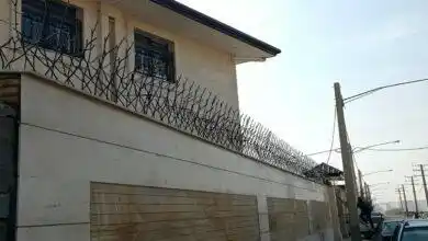 قیمت حفاظ شاخ گوزنی بر چه اساس تعیین میشه؟