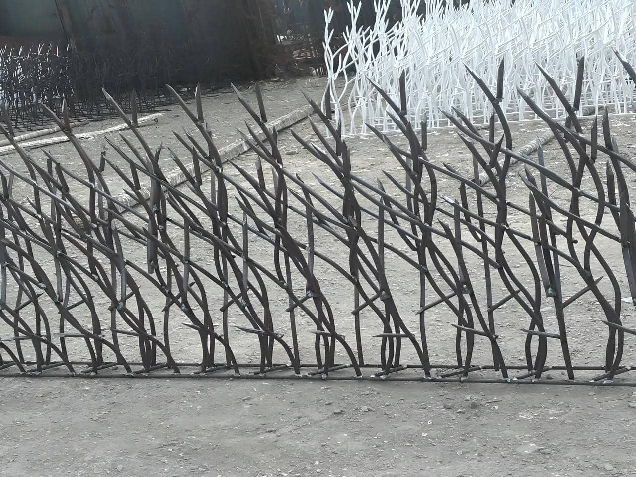 رنگ حفاظ شاخ گوزنی | حفاظ ایران رنگ حفاظ شاخ گوزنی