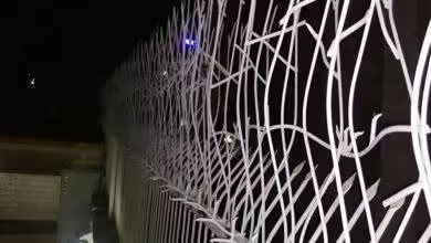 انتخاب رنگ مناسب برای حفاظ شاخ گوزنی