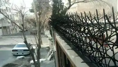 حفاظ شاخ گوزنی در معماری مدرن