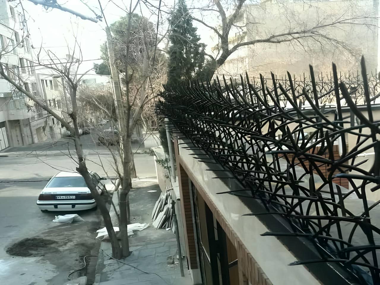 حفاظ شاخ گوزنی در معماری مدرن | حفاظ ایران حفاظ شاخ گوزنی در معماری مدرن