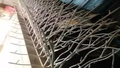 تولید و اجرای حفاظ شاخ گوزنی