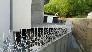 حفاظ شاخ گوزنی منزل مسکونی