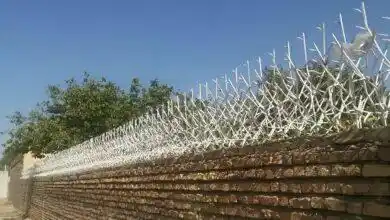 بزرگترین تولید کننده حفاظ شاخ گوزنی