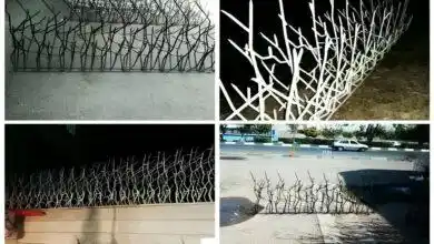 چرا باید از حفاظ شاخ گوزنی استفاده کنیم؟