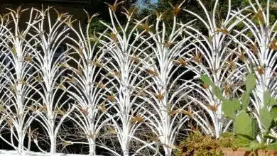 بهترین مدل نرده دیوار چیست؟