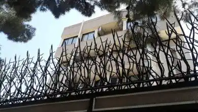 تفاوت حفاظ شاخ گوزنی و حفاظ بوته ای