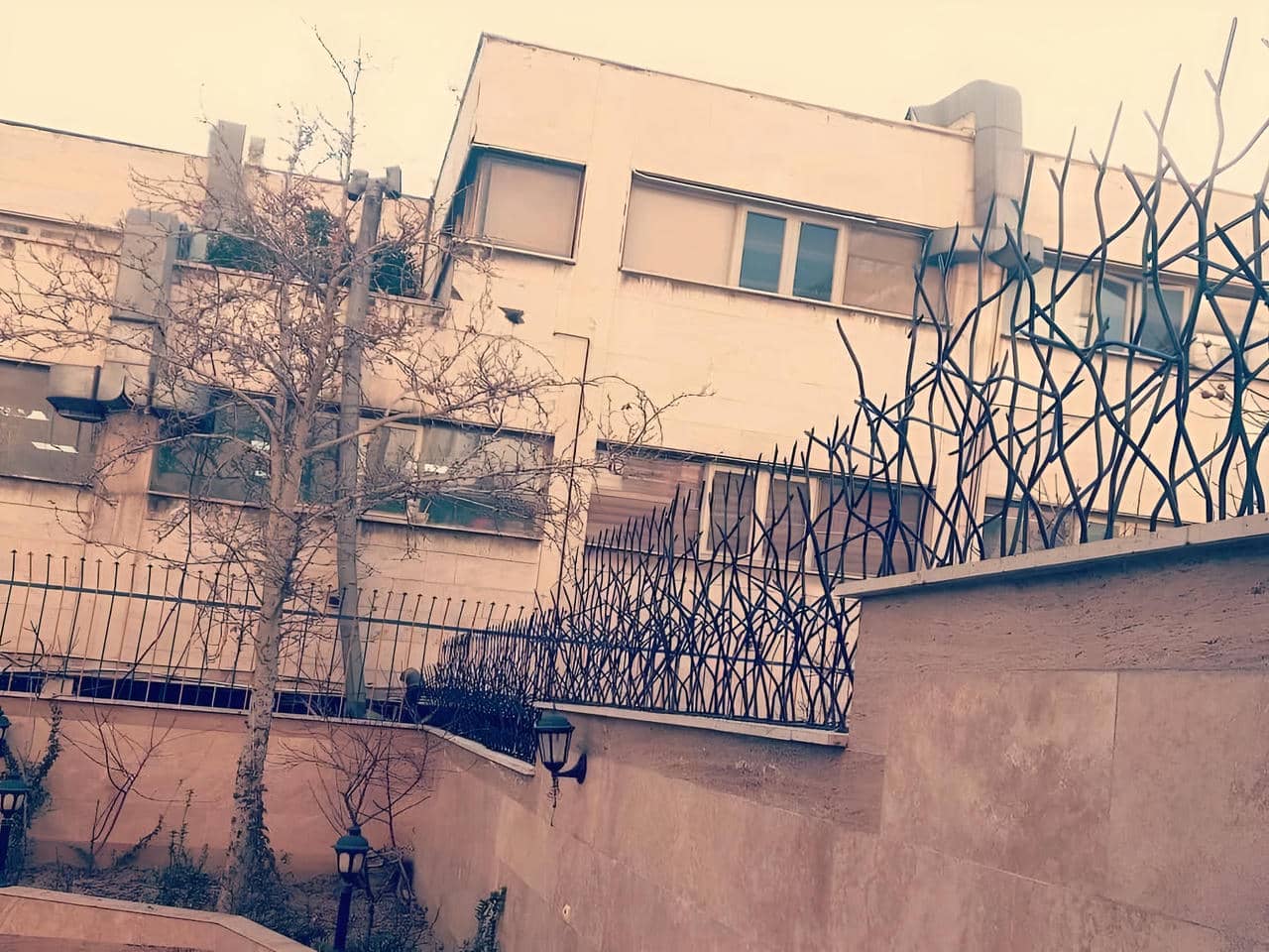 قیمت حفاظ شاخ گوزنی با کیفیت