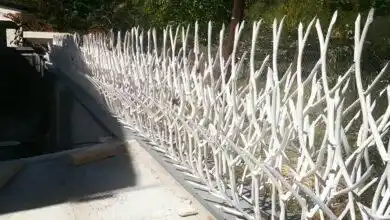 خرید و نصب حفاظ شاخ گوزنی