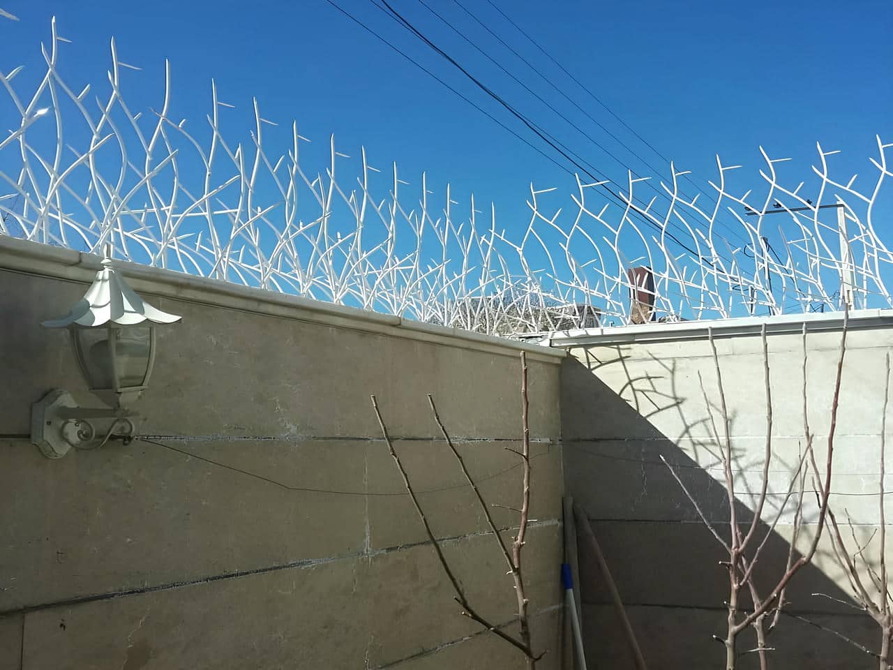 حفاظ شاخ گوزنی چه جاهایی استفاده میشود؟ | حفاظ ایران حفاظ شاخ گوزنی چه جاهایی استفاده میشود؟