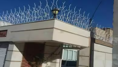 نمونه های زیبا حفاظ شاخ گوزنی