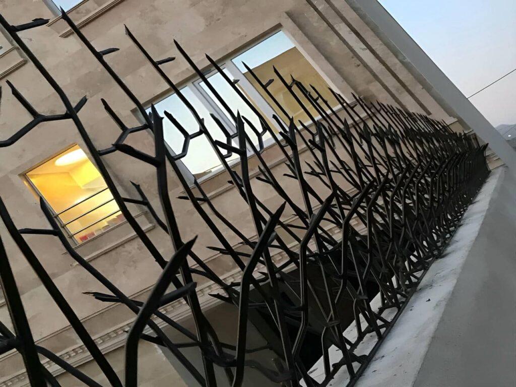 نحوه ثبت سفارش حفاظ شاخ گوزنی نحوه ثبت سفارش حفاظ شاخ گوزنی