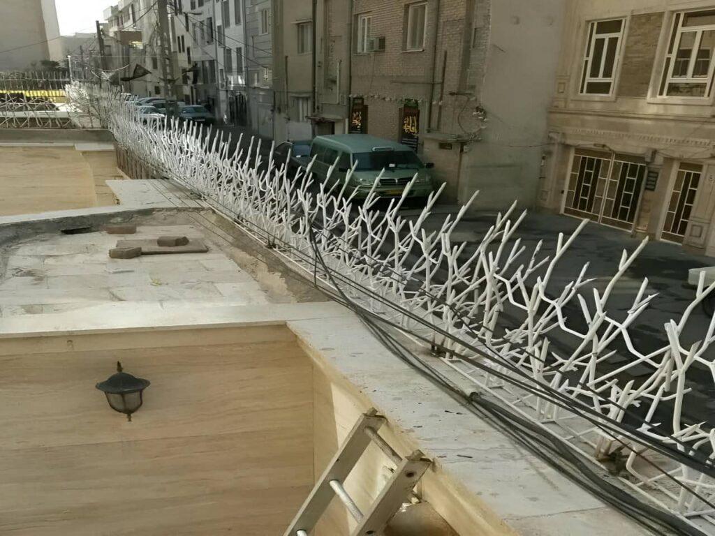 حفاظ شاخ گوزنی چیست؟ حفاظ شاخ گوزنی چیست؟