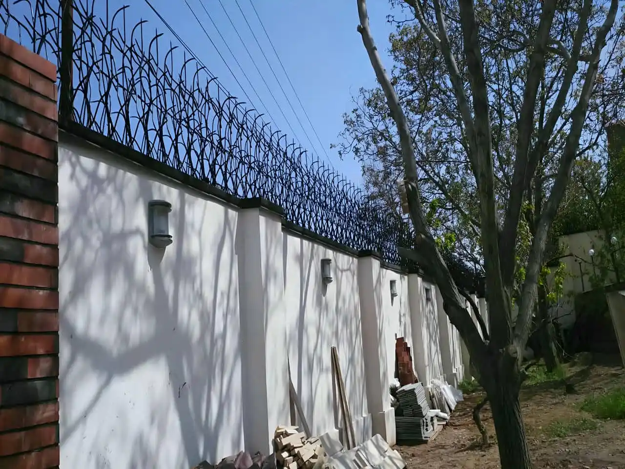 انتخاب حفاظ شاخ گوزنی برای مناطق مسکونی و پر تردد