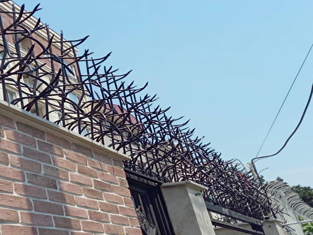 نحوه ساخت حفاظ شاخ گوزنی نحوه ساخت حفاظ شاخ گوزنی