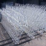 حفاظ شاخ گوزنی