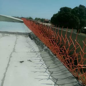 حفاظ بوته ای تراکم ۵۳