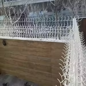 حفاظ بوته ای تراکم ۶۷ حفاظ بوته ای تراکم ۶۷